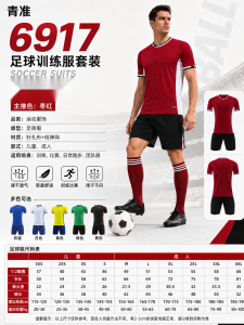青准 6917 足球训练服套装