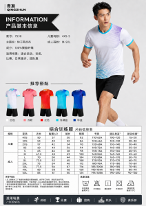 青准 7530 足球训练服套装
